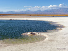 Laguna Cejar- Chili